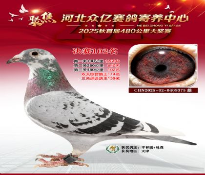 河北众亿赛鸽寄养中心102名