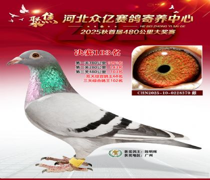 河北众亿赛鸽寄养中心103名