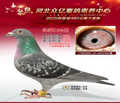 河北众亿赛鸽寄养中心104名