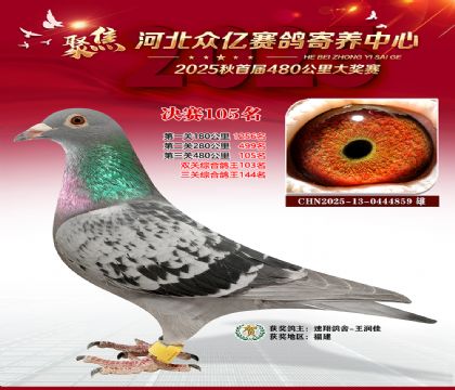 河北众亿赛鸽寄养中心105名