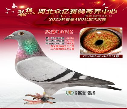 河北众亿赛鸽寄养中心106名