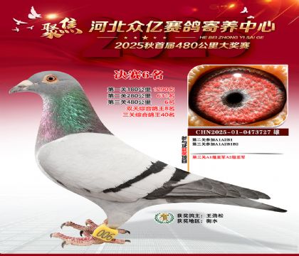 河北众亿赛鸽寄养中心6名