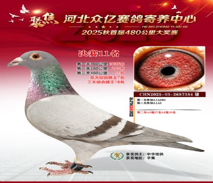 河北众亿赛鸽寄养中心11名