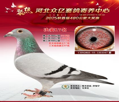 河北众亿赛鸽寄养中心17名