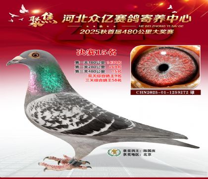 河北众亿赛鸽寄养中心15名