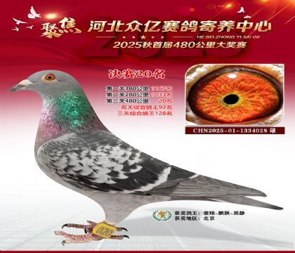 河北众亿赛鸽寄养中心20名