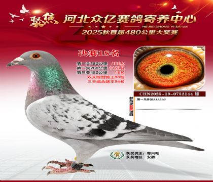 河北众亿赛鸽寄养中心18名