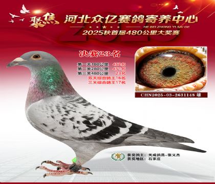 河北众亿赛鸽寄养中心23名