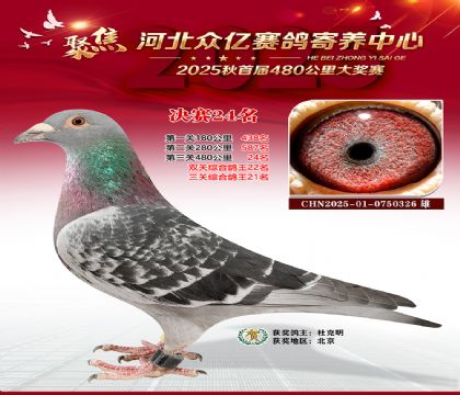 河北众亿赛鸽寄养中心24名