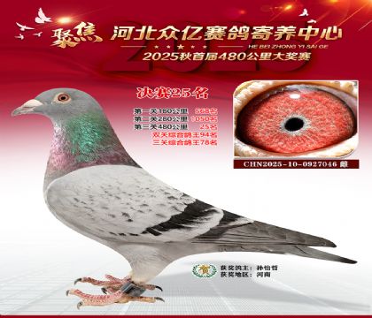 河北众亿赛鸽寄养中心25名