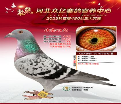 河北众亿赛鸽寄养中心28名