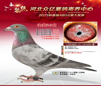 河北众亿赛鸽寄养中心26名