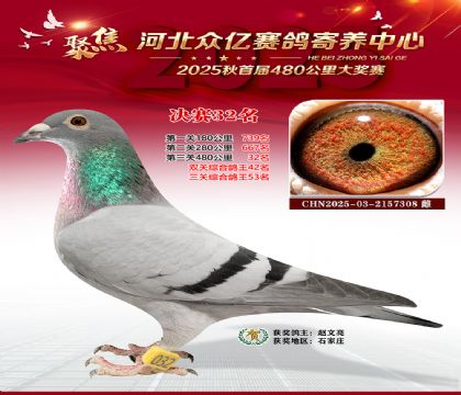 河北众亿赛鸽寄养中心32名