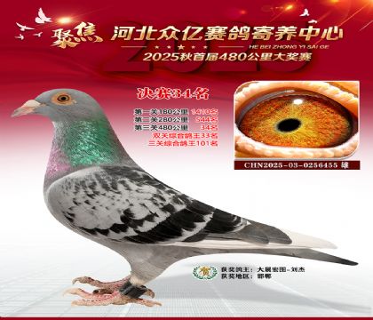 河北众亿赛鸽寄养中心34名