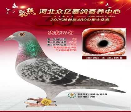 河北众亿赛鸽寄养中心35名