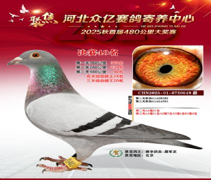 河北众亿赛鸽寄养中心40名