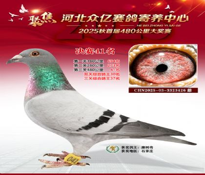 河北众亿赛鸽寄养中心41名