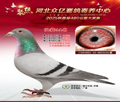 河北众亿赛鸽寄养中心44名