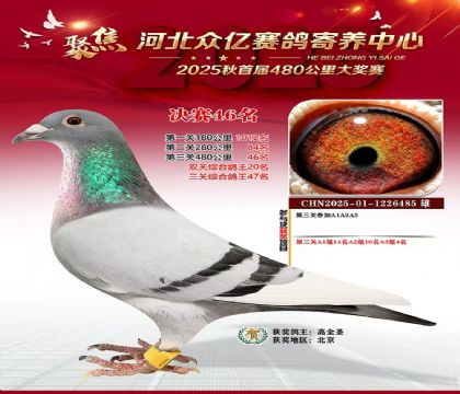 �ӱ����������������46��