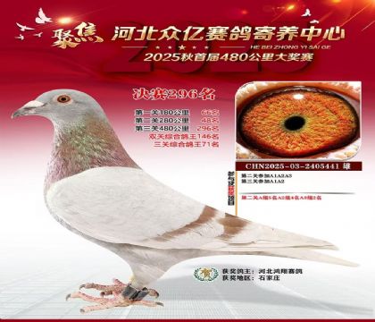 �ӱ����������������296��