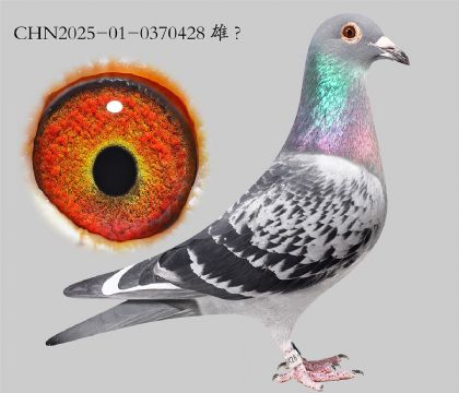 3.���ɭx����x��ʱ��.0370428