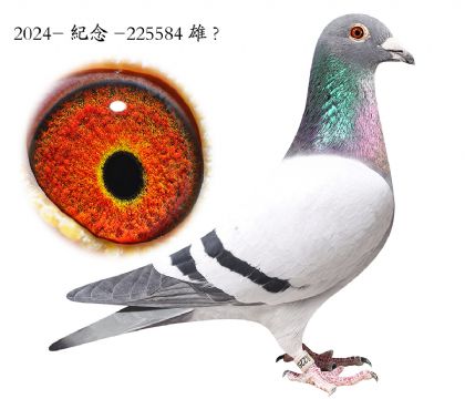 9.����x��ʱ��.225584