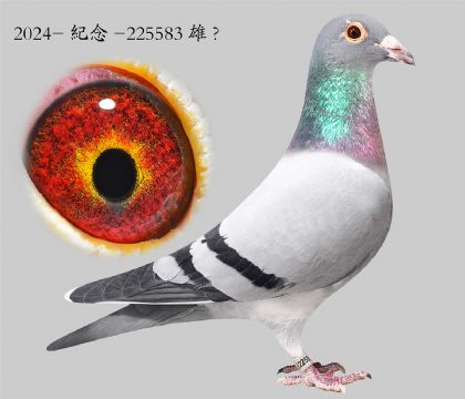 10.����x��ʱ��.225583