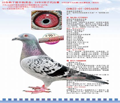 12.���ɭx����³�ھ�.0954658