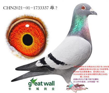 14.��ʱ��x�½�ķѪϵ.1733337