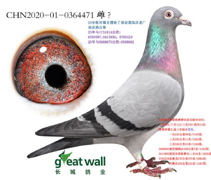 13.��ʱ��911�����Ӵ�.0364471