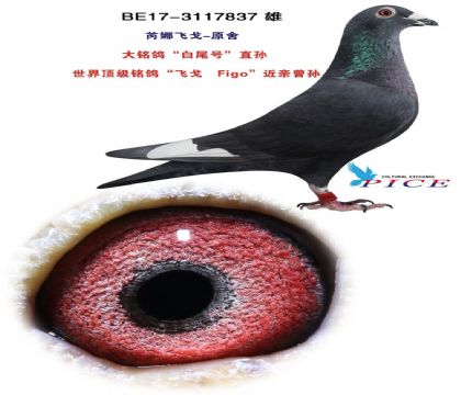 ���ȷɸ�ԭ��-----�����롰��β�š�ֱ��837   ��