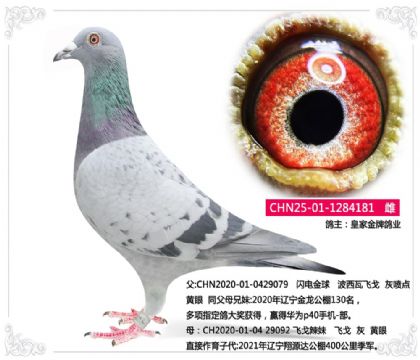 �ʼҽ��Ƹ�ҵ	----�ɸ�181   ��	