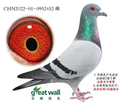 �й��������Ǹ�ҵ---����ȫ��X�������452   ��	