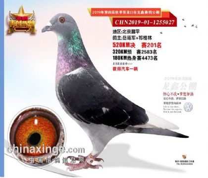 �żҿ��������빫��520�������201��   ��	