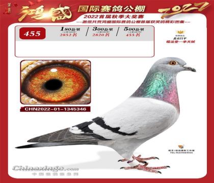 �żҿں�ʢ�������빫��500�������455��   ��	