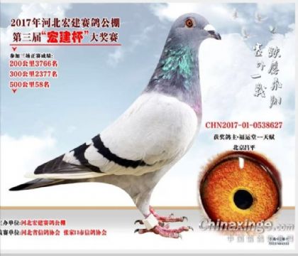 �ӱ��꽨���빫��500�������58��   ��	