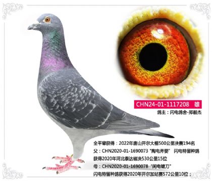 �������-֣���---��������194��ƽ��208   ��	