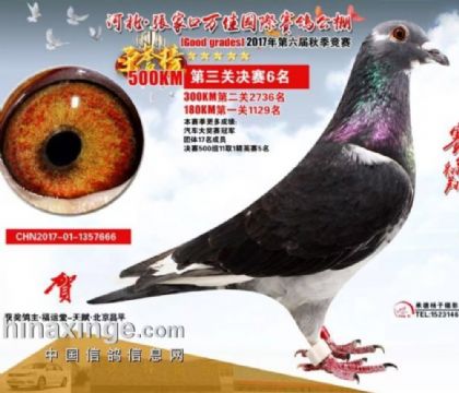 �żҿ���ѹ������빫��500�������6��  ��	