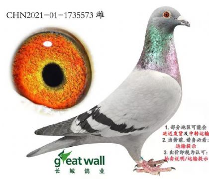 �й��������Ǹ�ҵ---����С��573   ��