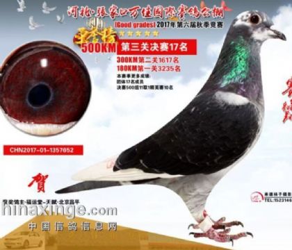 �żҿ���ѹ������빫��500�������17��  ��	