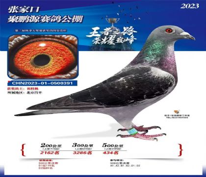 �żҿھ���Դ���빫��500�������434��   ��