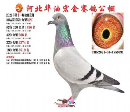 ������վ���ھ����۸룩