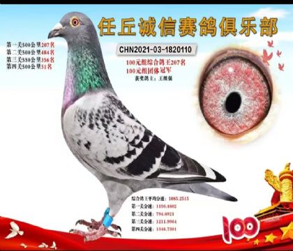 ����207λ���۸룩����ھ���Ա֮һ