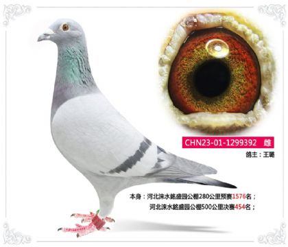 �ӱ��ˮ�ʢ԰����500�������454��   ��	