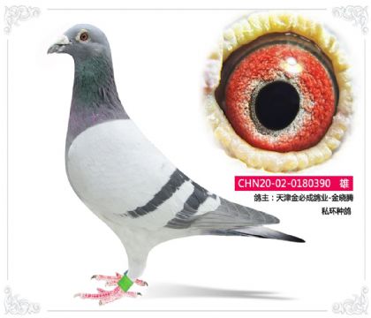 ����سɸ�ҵ-������    ˽���ָ�390   ��		