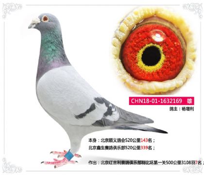 ����˳����520����143��   ��	