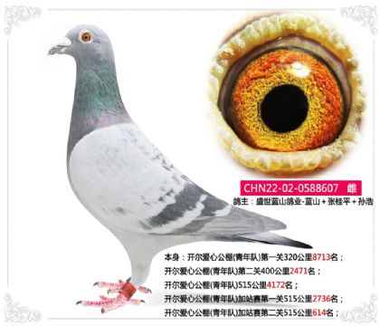 �������Ĺ���(�����)��վ���ڶ���515����614��   ��