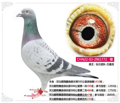 �ӱ�˳��������ֲ�500���������47��  ��	