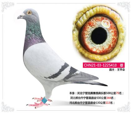 �ӱ���̨�������ظ��530����113��   ��	