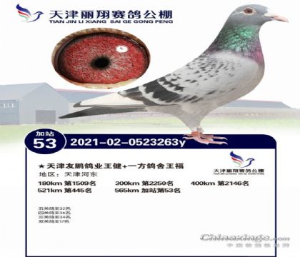 �������������빫��˫�ظ���17��   ��	